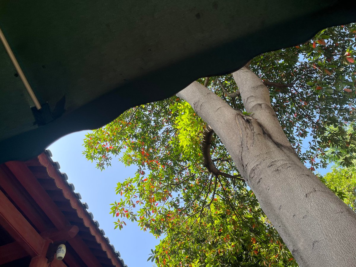 ........... tweet media