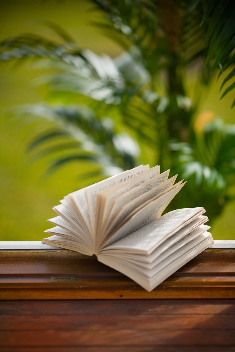 Ahmad Shabaneh tweet media