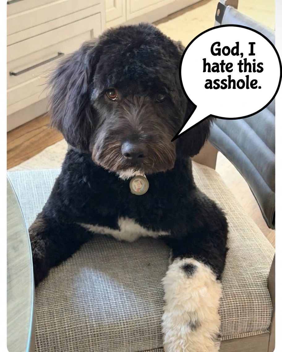 Ava- I Love My USA! 🇺🇸 tweet media