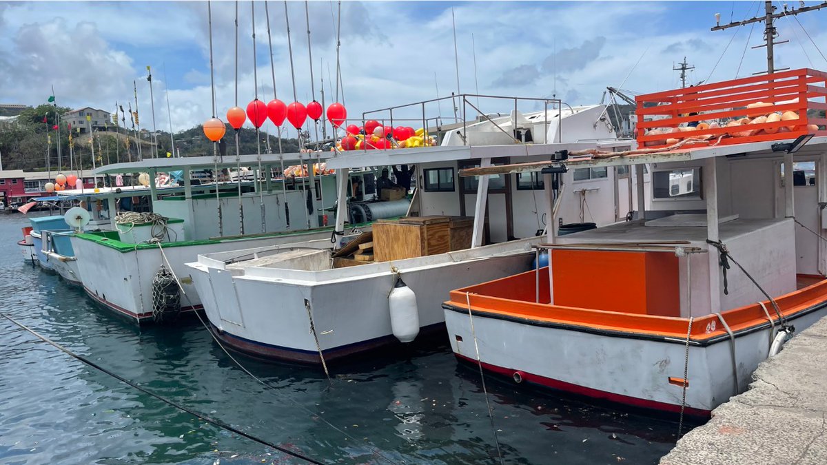 nowgrenada.com tweet media