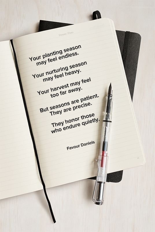 Favour Daniels tweet media