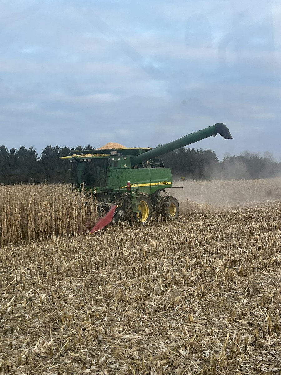 Lucas Bauman tweet media