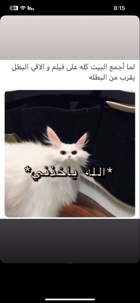 𝙿𝚁𝙸𝚅 tweet media