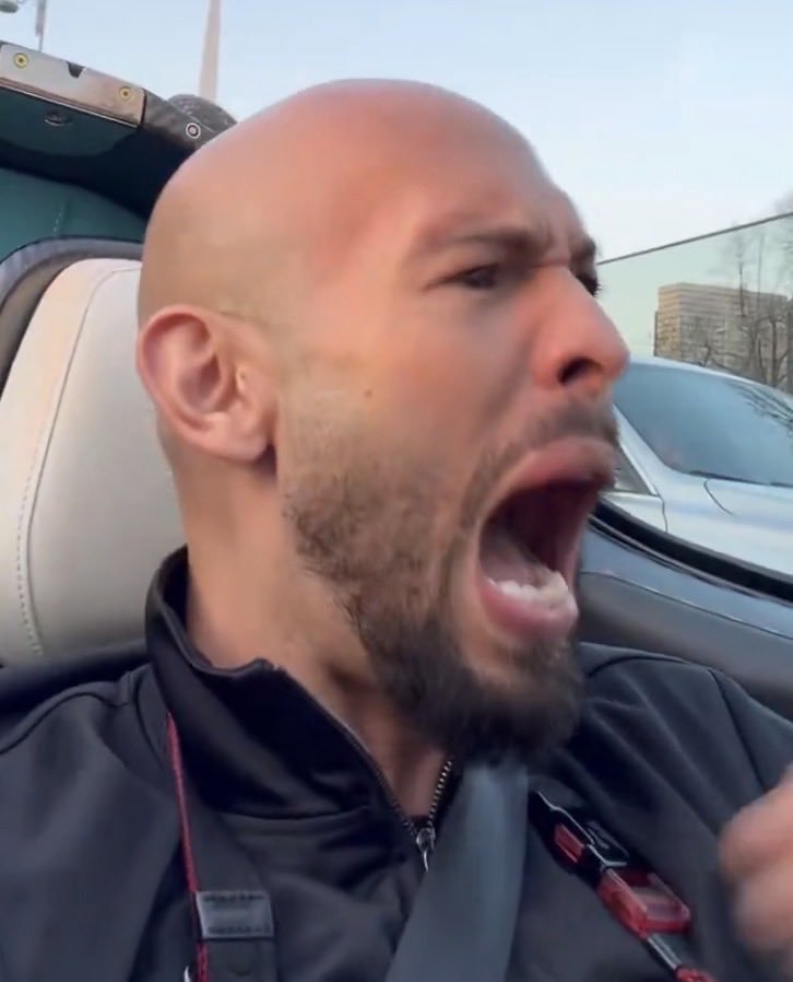 Stefan Larsen tweet media