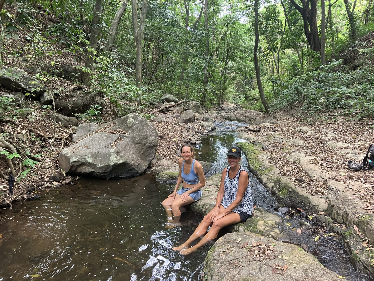 Joe Coffey 🇸🇻🇺🇸 tweet media