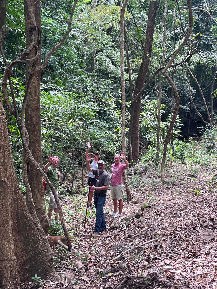 Joe Coffey 🇸🇻🇺🇸 tweet media