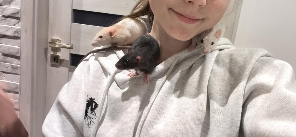 • wika • bleeeeh:P^____^ tweet media