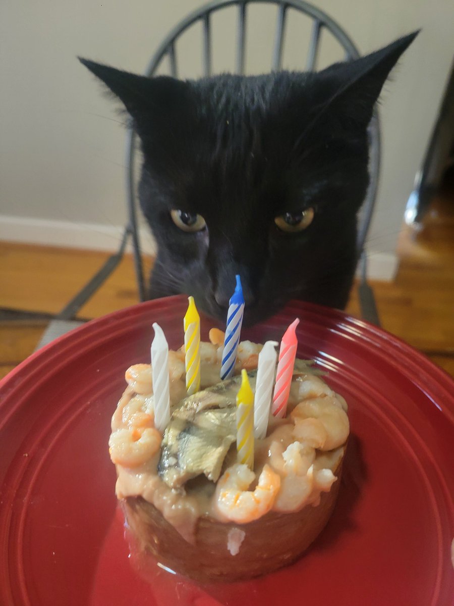 Teeg Dougland tweet media