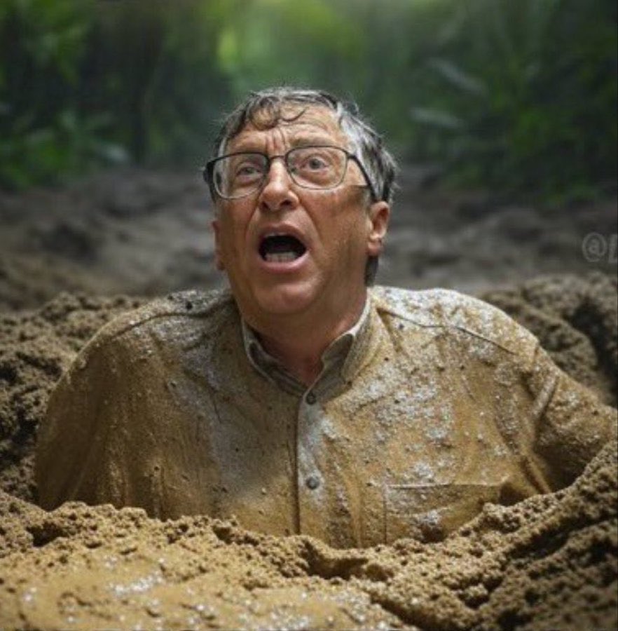 LadyValor tweet media