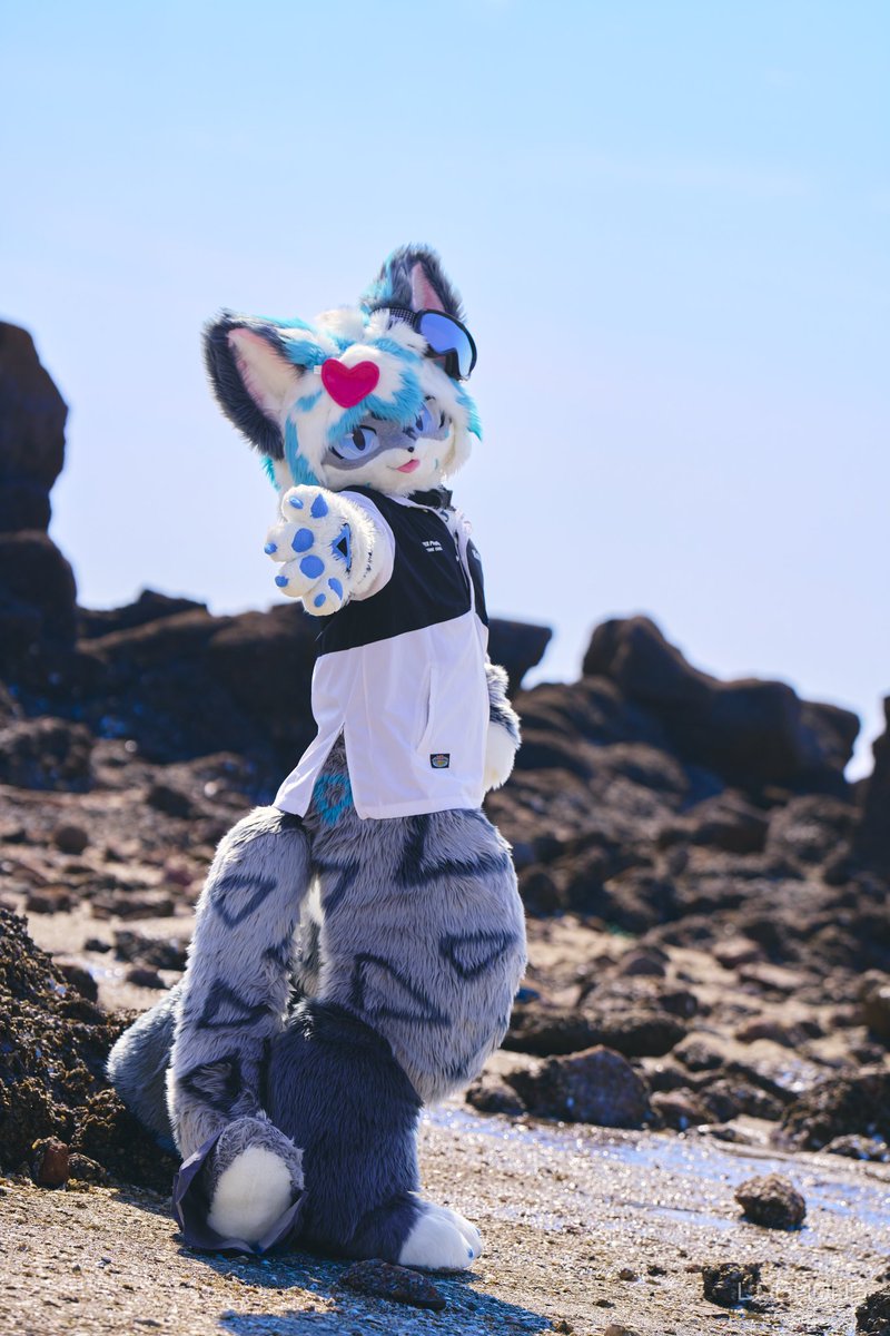 ChadShu_Kim's tweet image. 내손 잡아!
같이 바다 보러가자 😊

📸 @Logmong_ 

#FursuitFriday #Mir #바다