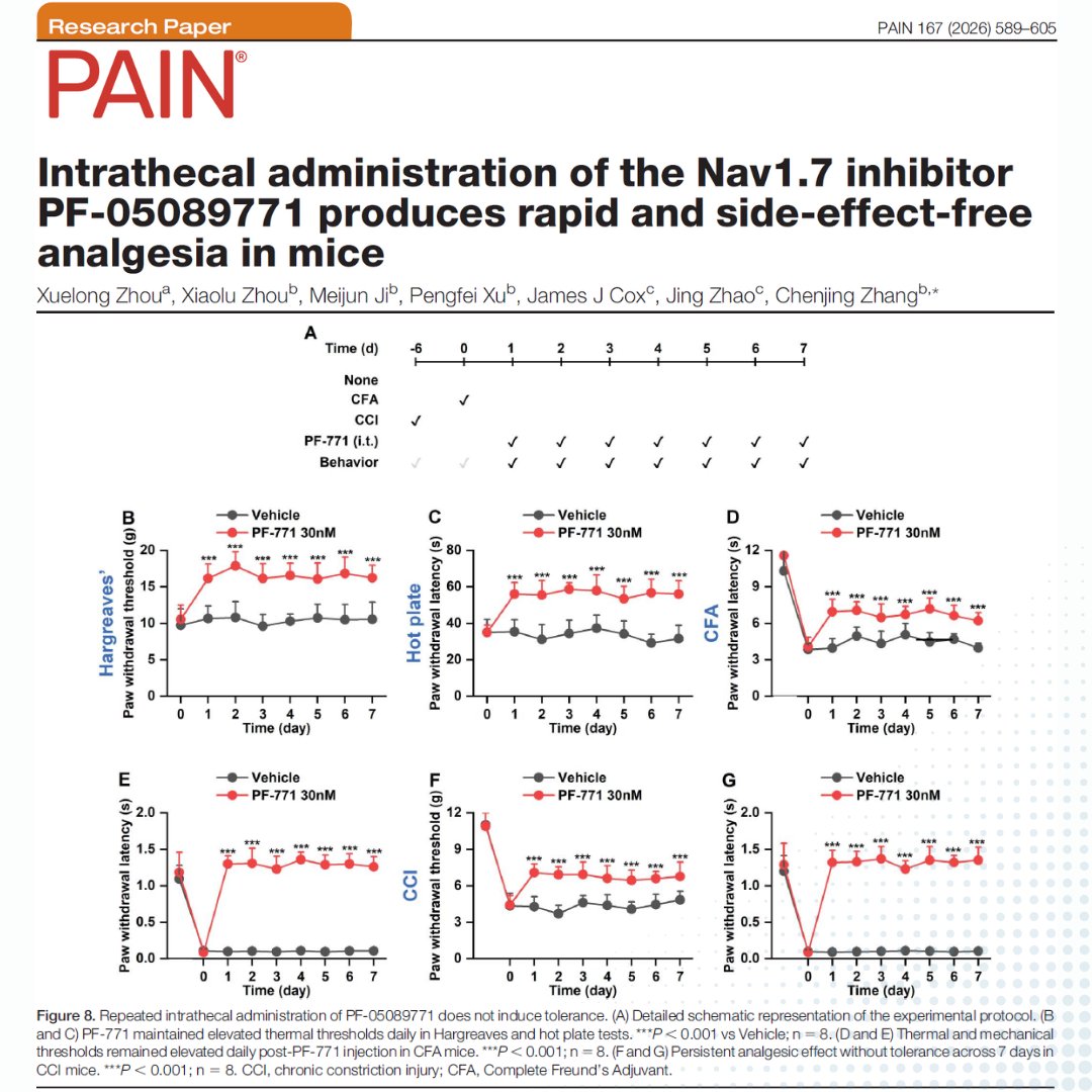 PAIN Journal tweet media