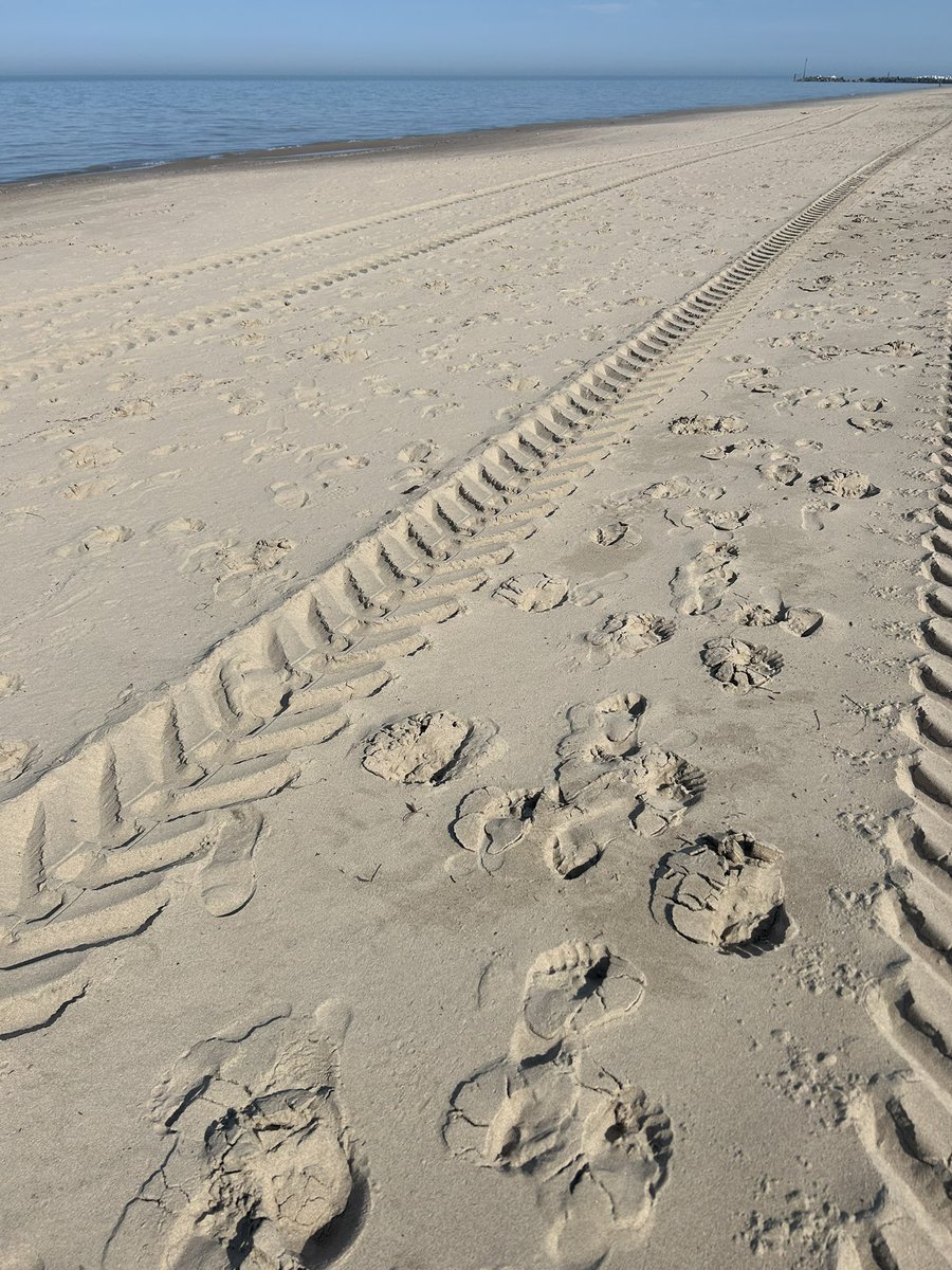 Jordan B. Goldstein | The Athletic Philosopher🌳🪓 tweet media