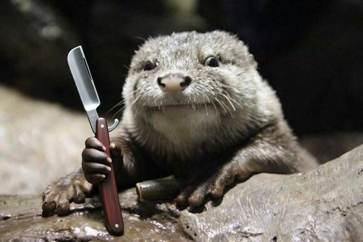 1982VintageNut ⊙⊝⊜ tweet media