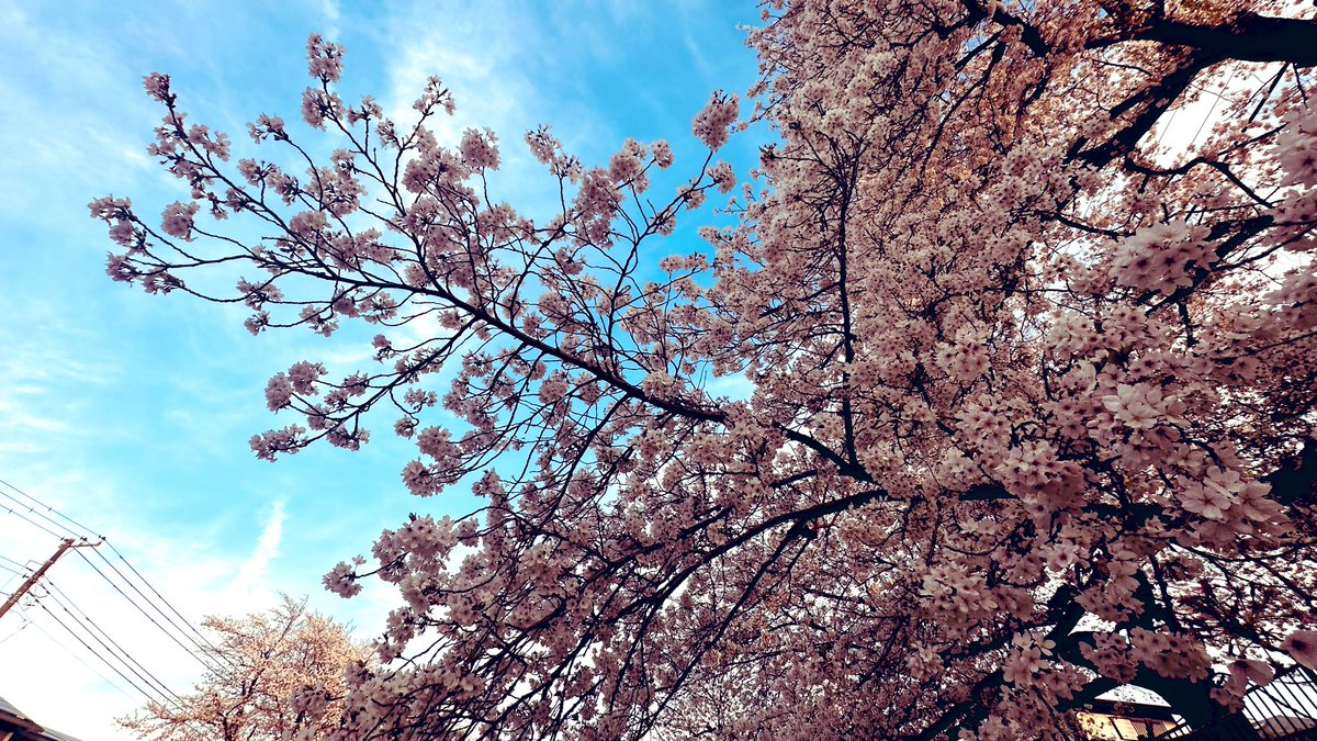 hina0911 tweet media