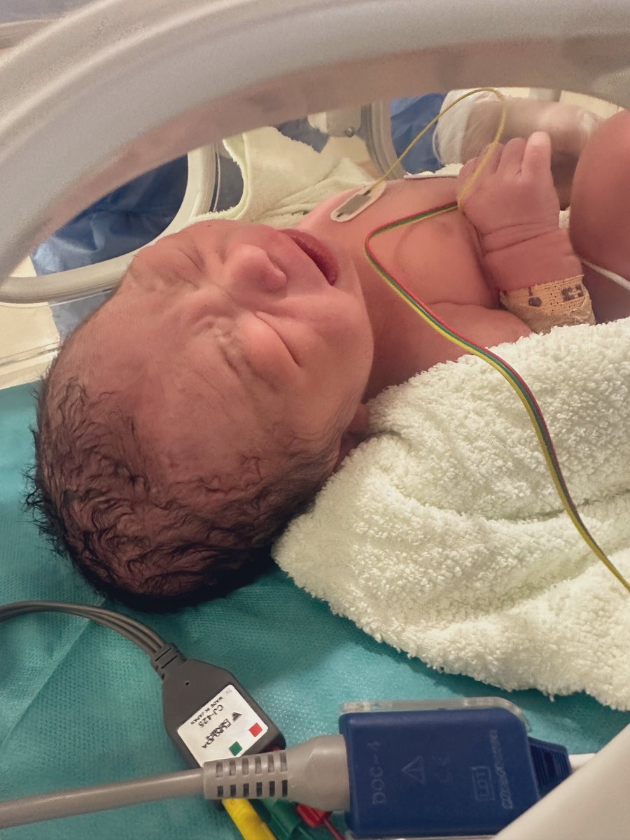 しらまり🐰camp tweet media