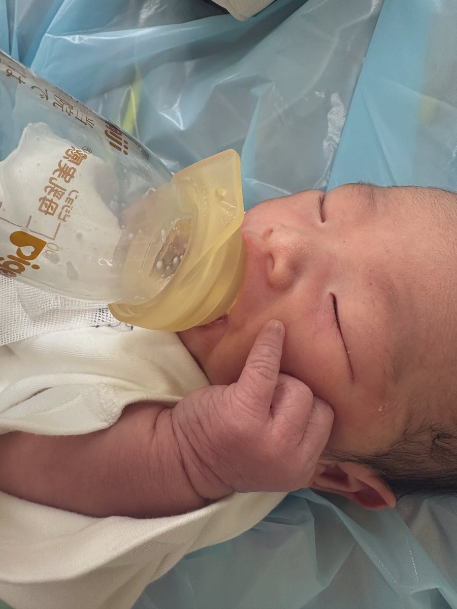 しらまり🐰camp tweet media