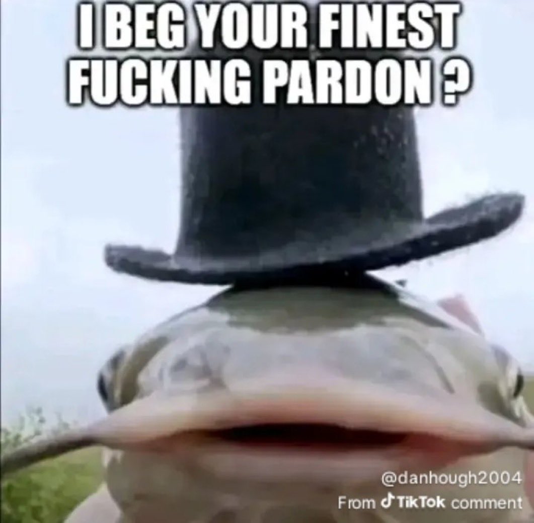 KingKev17 tweet media