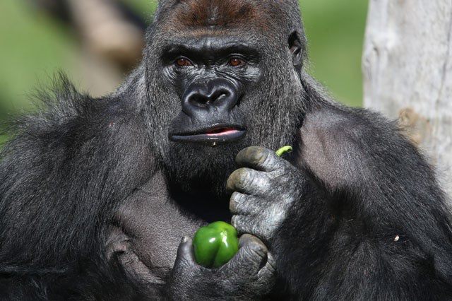 Sama Hoole tweet media