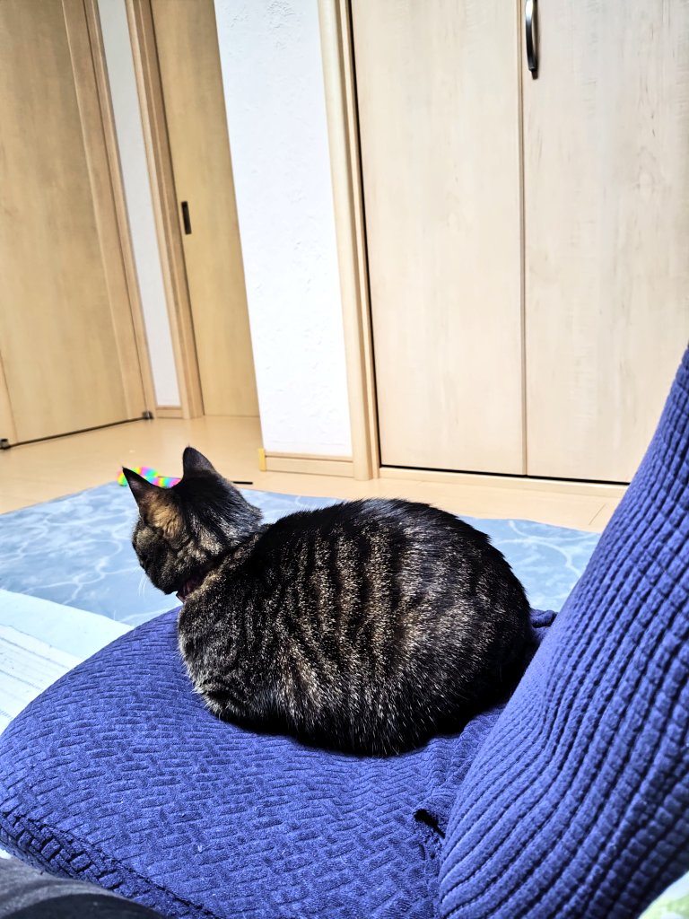 さいか tweet media