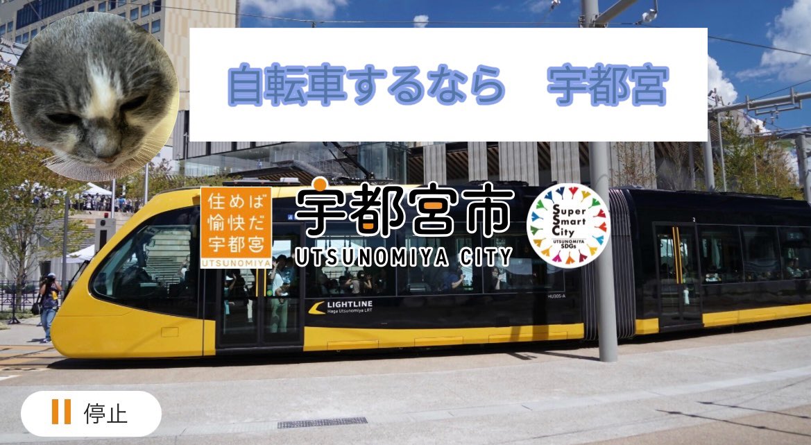 アナログ人間 tweet media