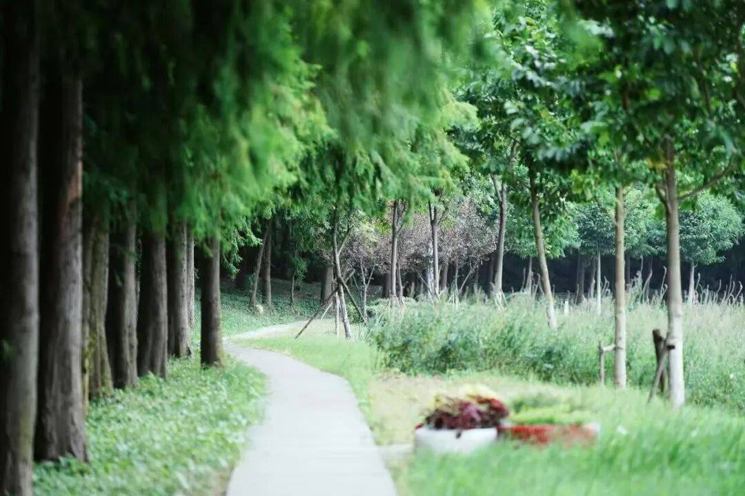 algumirov's tweet photo. Swapped my 30-min morning scroll for a 20-min walk + 10-min stretch. More energy, less screen fatigue—small shift, big daily win! https://t.co/NoWUt7HWV0