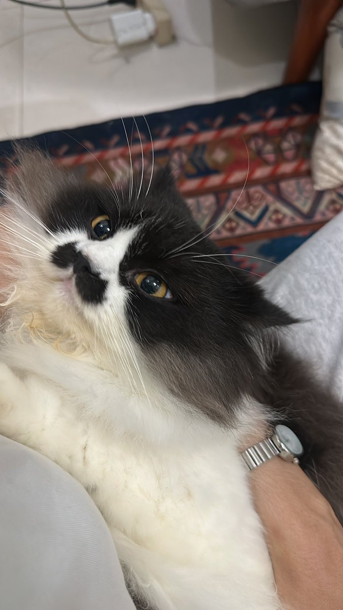 lebih sayang anak angkat daripad anak sendiri