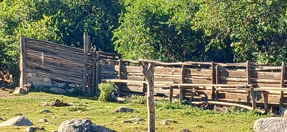 Alvaro Simon Padros tweet media