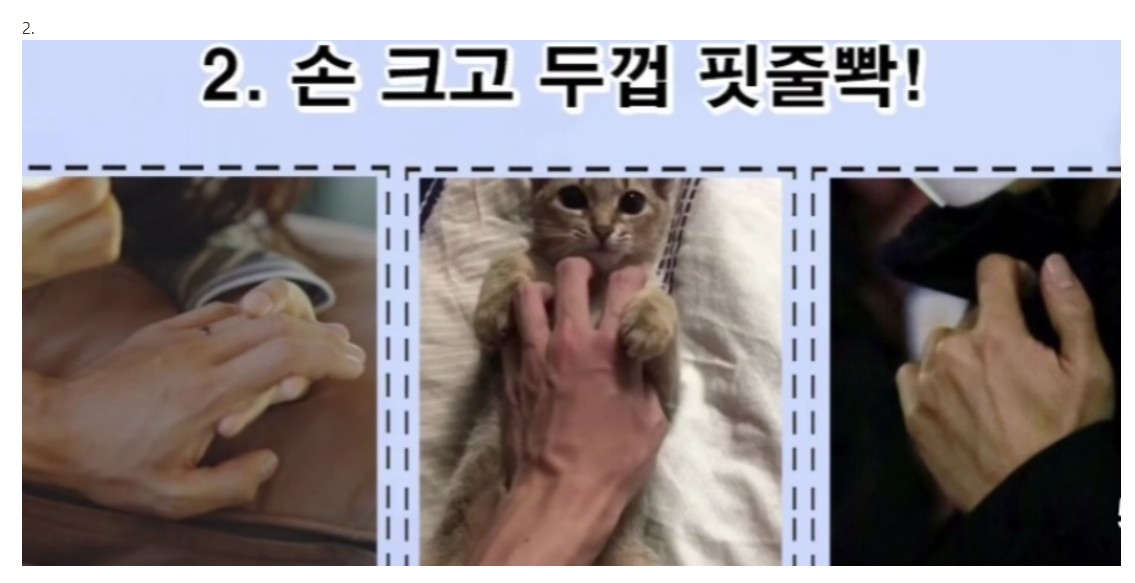 𝘔𝘐𝘓𝘒𝘛𝘌𝘈 tweet media