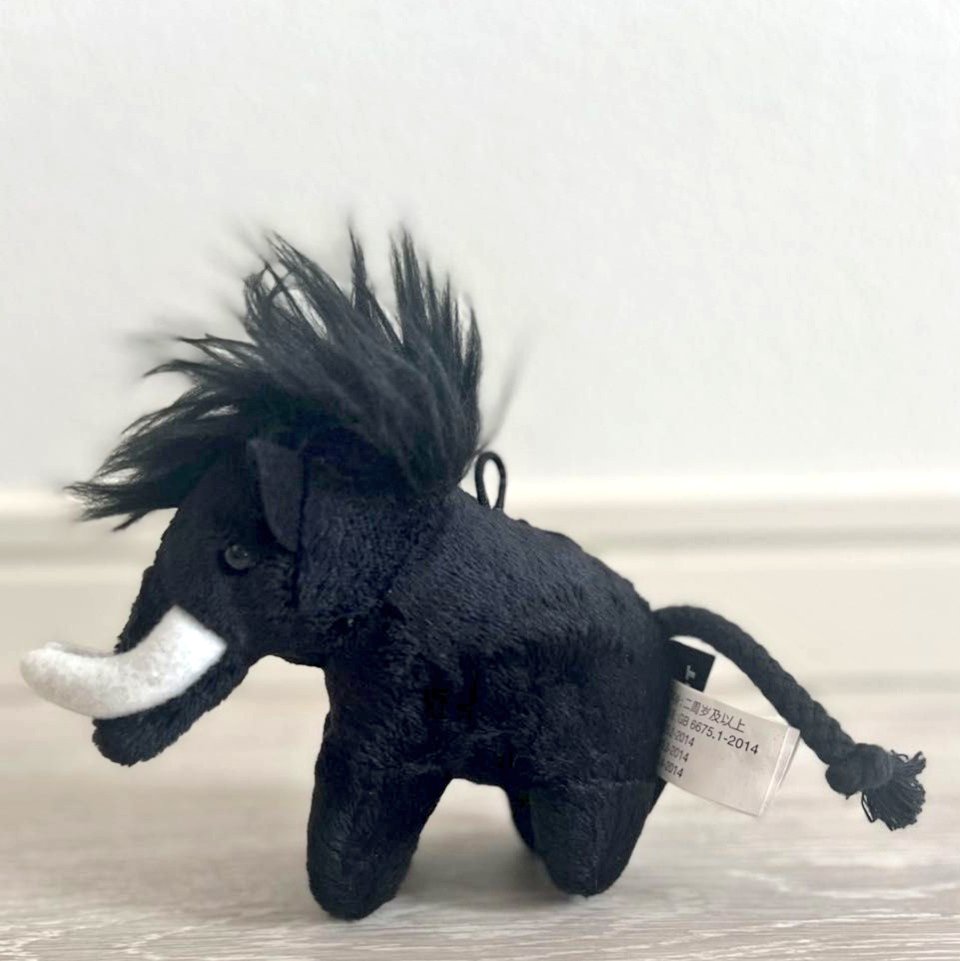 🦣🐘くぁ…だん@言いにくい けどこのまま。🐘🦣 tweet media