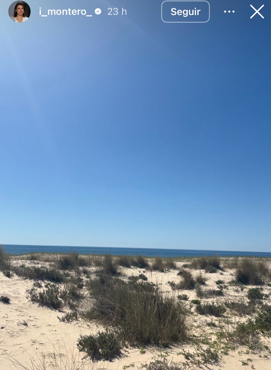 Ofendidito 🇪🇸©™️ tweet media