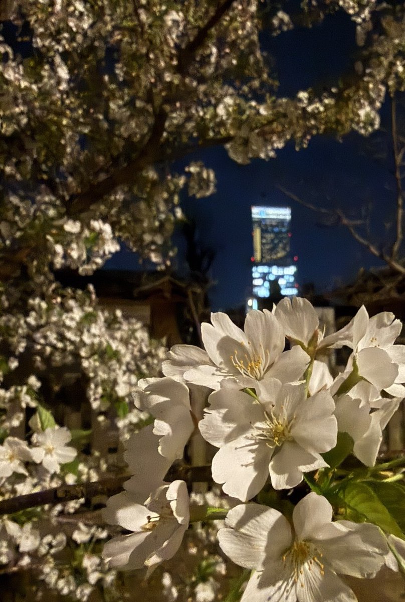 ミルクボーイ内海 tweet media