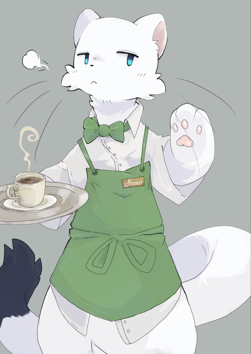 Chin chilla tweet media