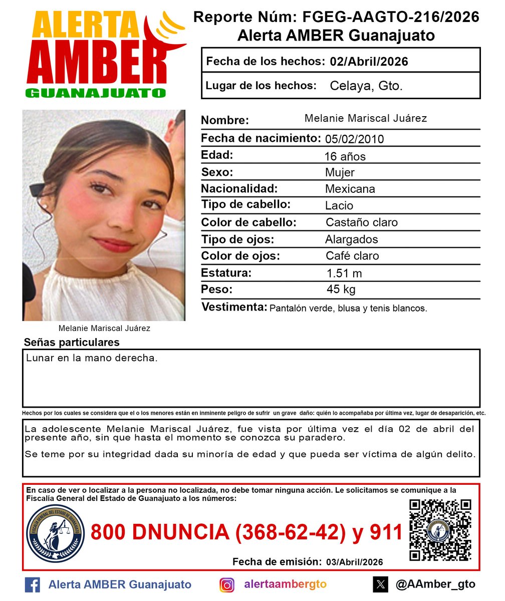 Alerta AMBER GTO. tweet media