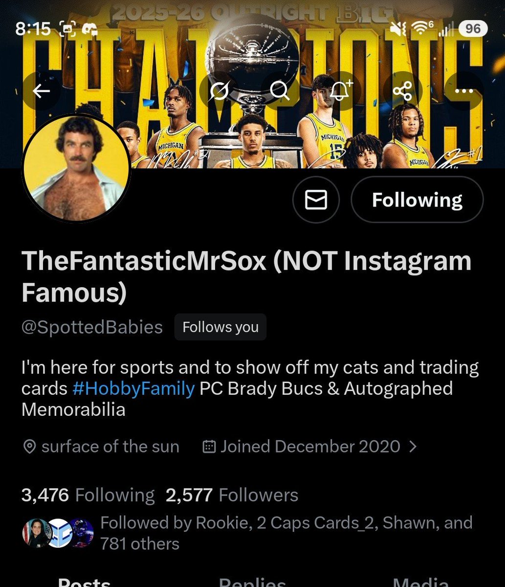 BigWerms LLC - Tim tweet media