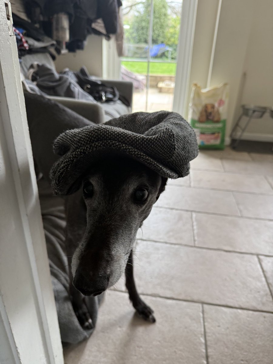 Solihull Blues tweet media