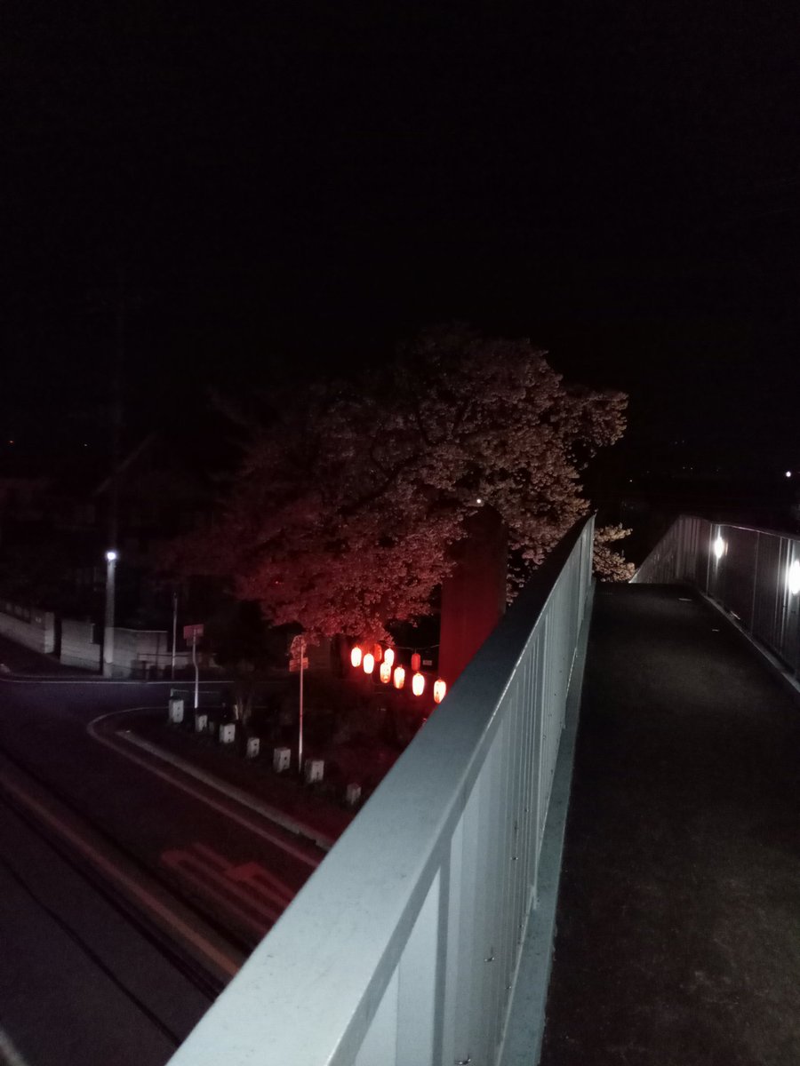 最終兵器・俺 tweet media