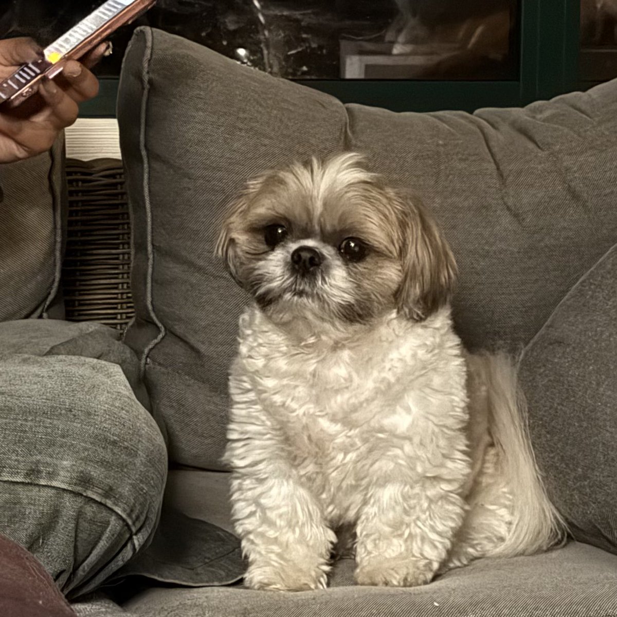 ૮ . . ྀིა⁩ mingi jeong tweet media