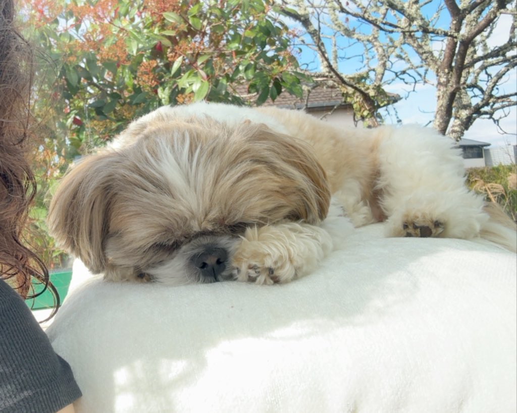 ૮ . . ྀིა⁩ mingi jeong tweet media