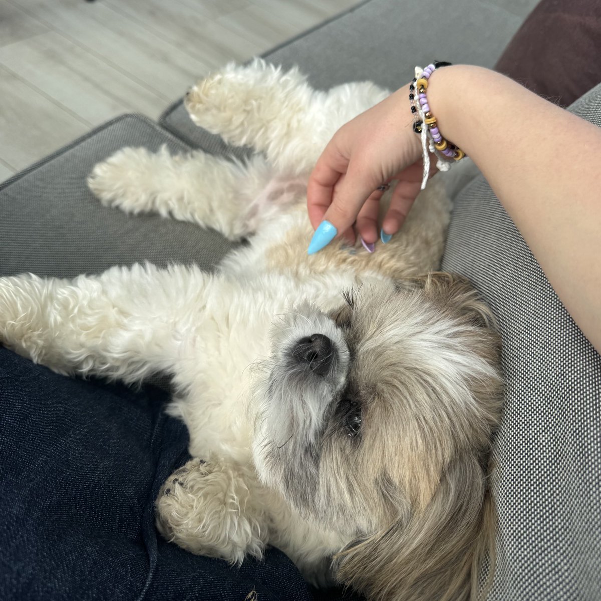 ૮ . . ྀིა⁩ mingi jeong tweet media