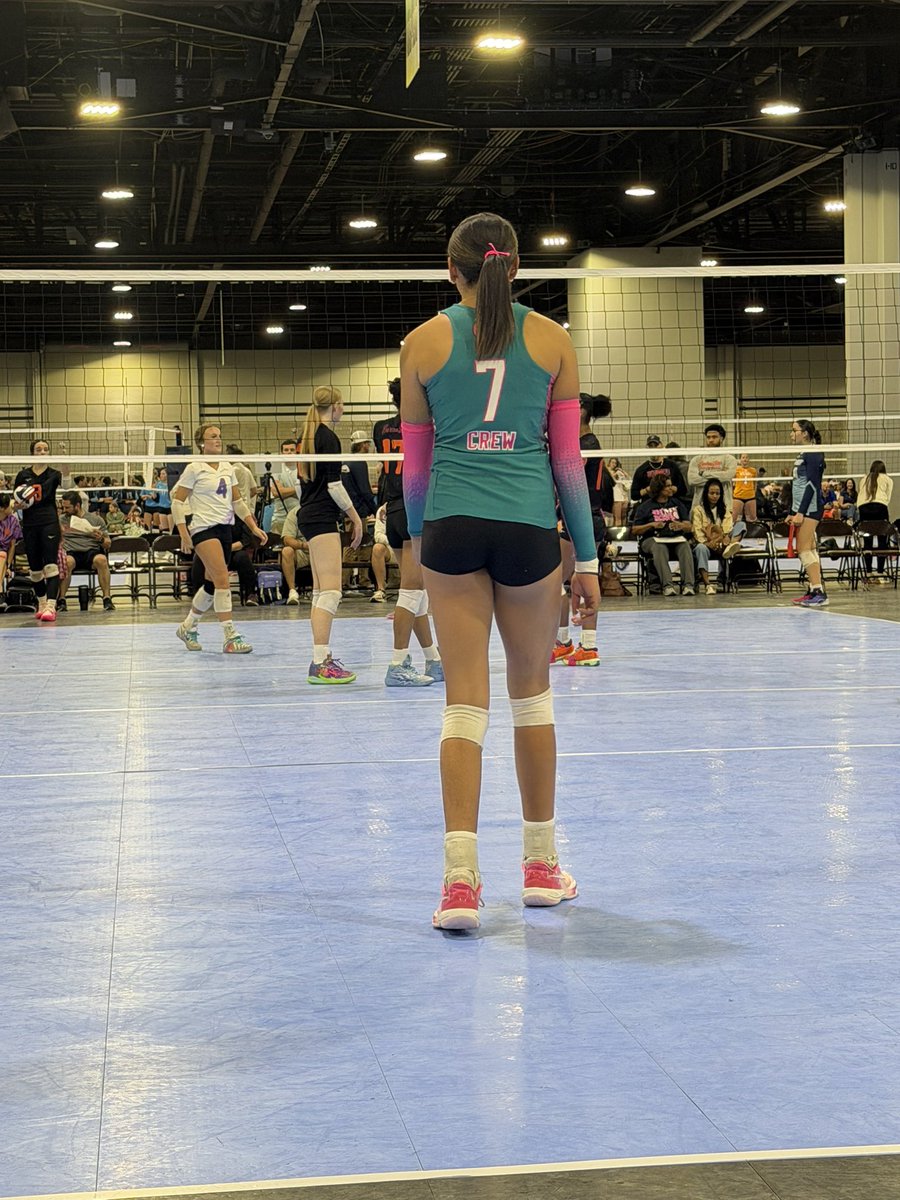 Kylee Fernandez tweet media