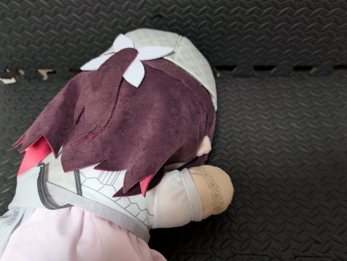 555gh🌽（ファイズ）（挟んでおいたよ、　君は今日からもふもふだ。 ） tweet media