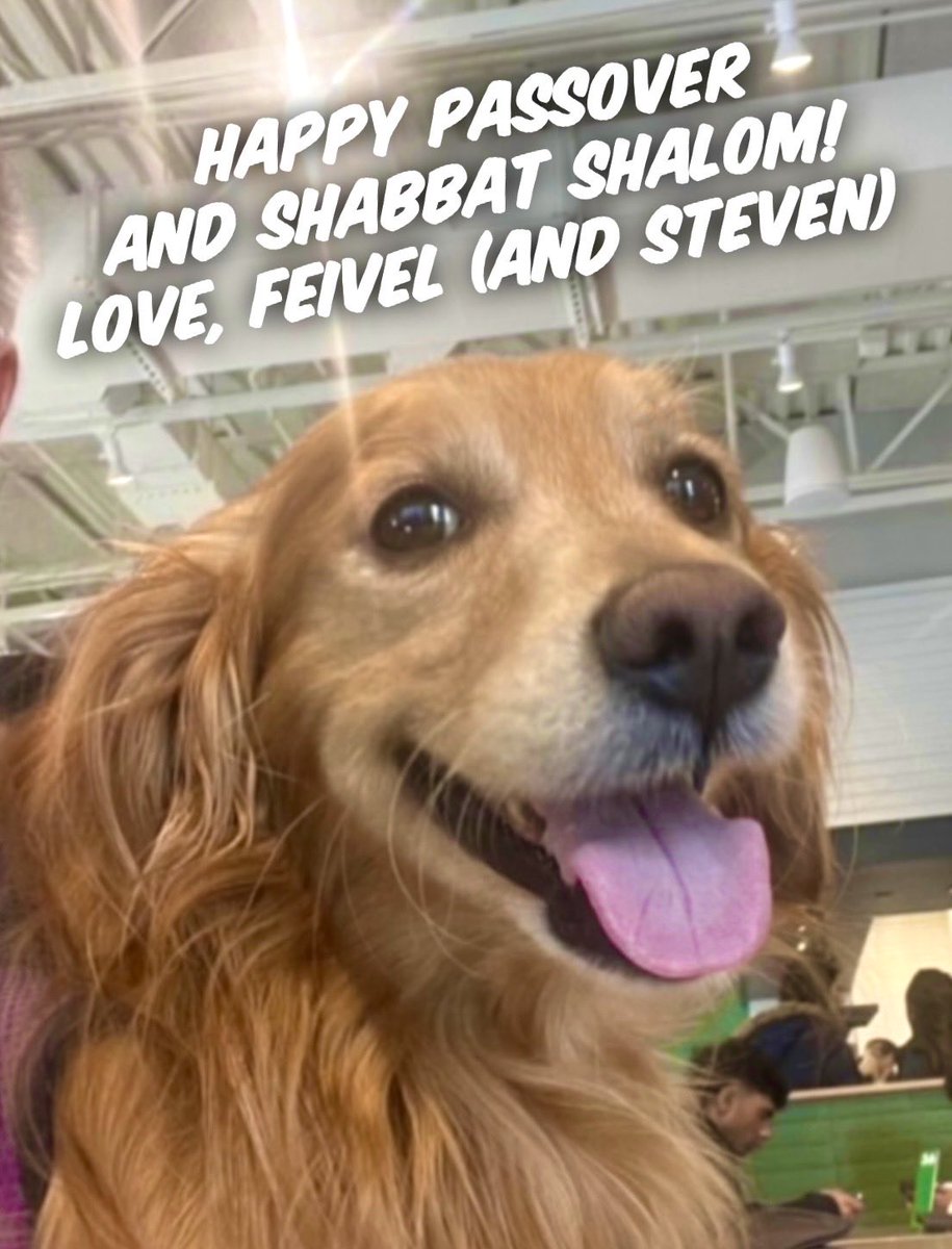 Steven Goldstein tweet media