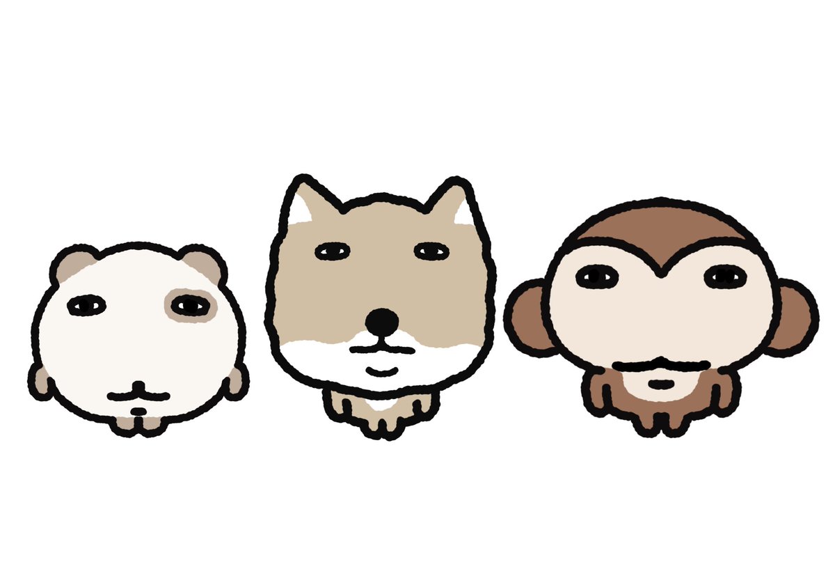 오얼모얼 tweet media