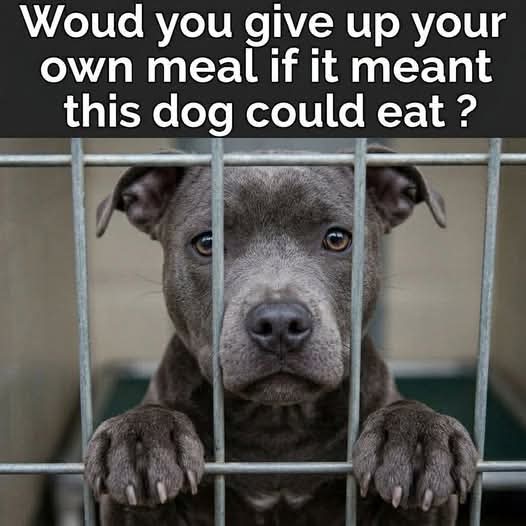 Maria Rose ❤️ tweet media