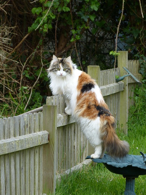 Ann Smith tweet media