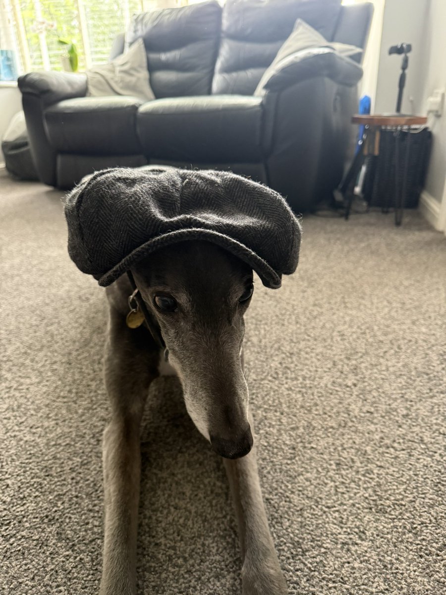 Solihull Blues tweet media