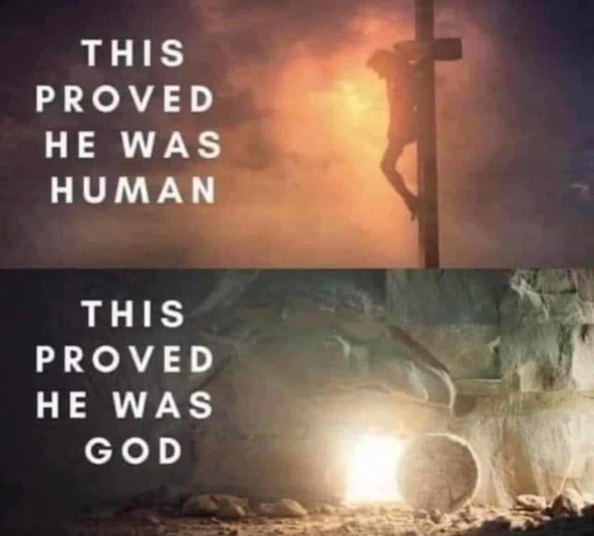 Rebekah Haynie tweet media