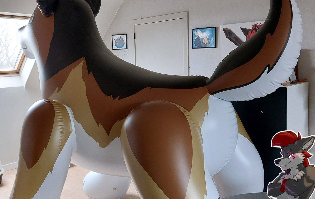 Shakou The Wolf 🎈 tweet media