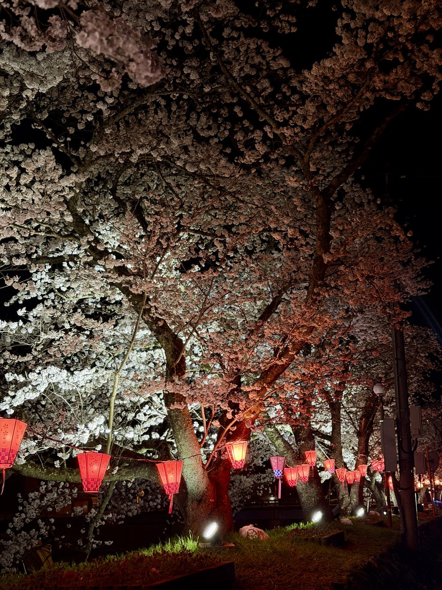 コンアモーレ tweet media