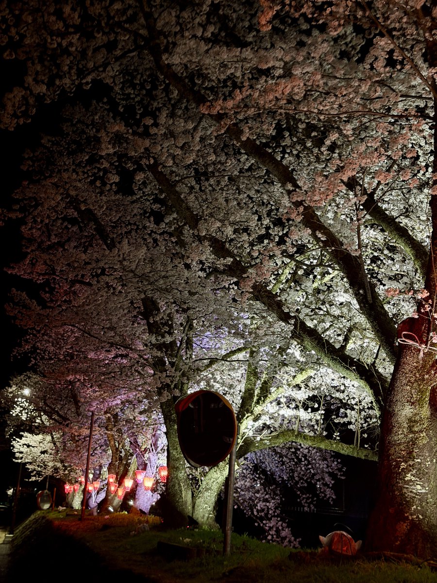 コンアモーレ tweet media